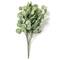 Eucalyptus Bush by Ashland®